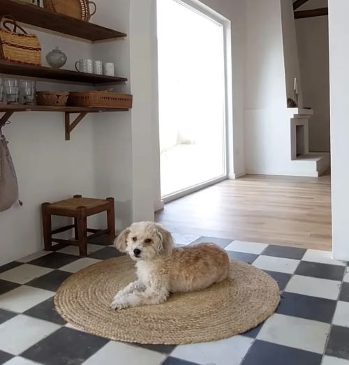 checker floor patterns